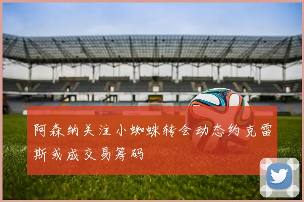 阿森纳关注小蜘蛛转会动态约克雷斯或成交易筹码