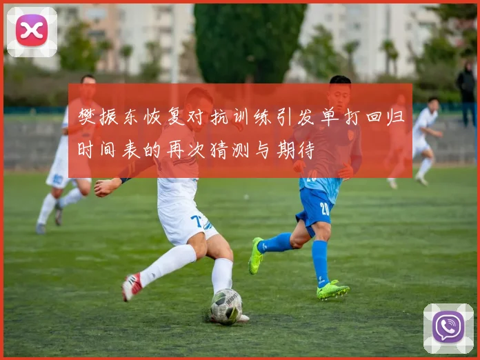 樊振东恢复对抗训练引发单打回归时间表的再次猜测与期待